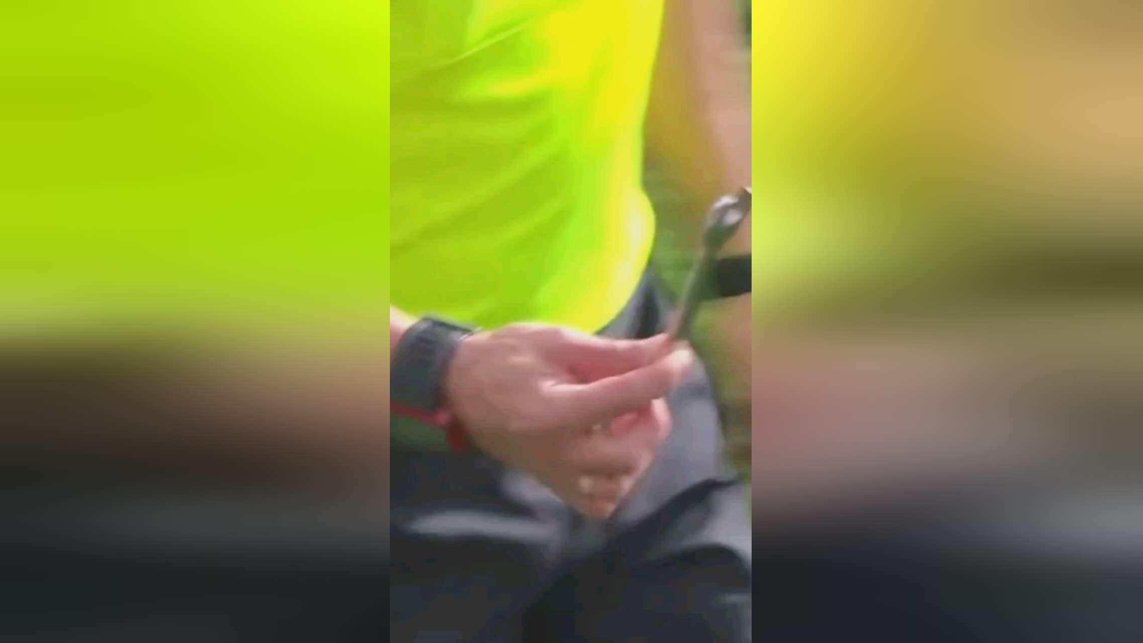 大心血据